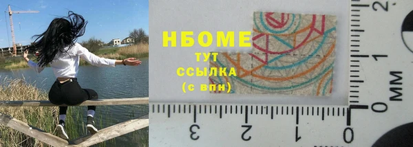 хмурый Алексин