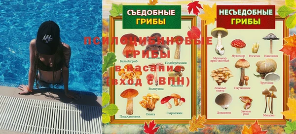 мдпв Осташков
