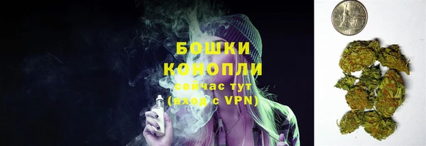 трава Алзамай