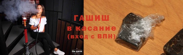 хмурый Алексин