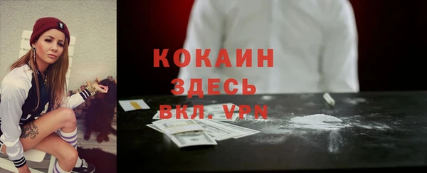 хмурый Алексин