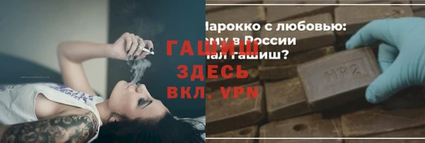 хмурый Алексин