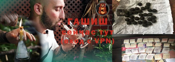 хмурый Алексин